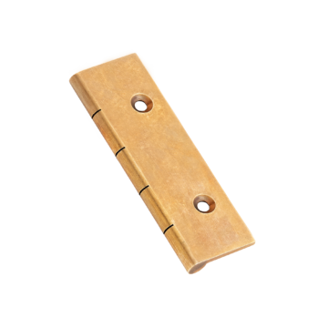 Dummy Hinge (Pair of)