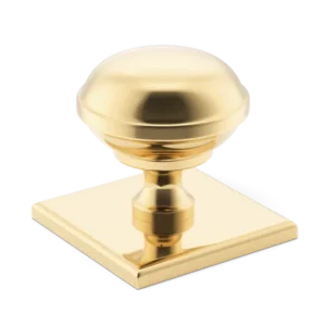 Polished Brass Unlacquered