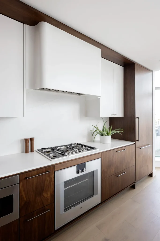 Cambie Street Penthouse — kitchen and range
